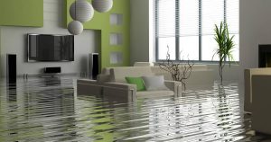 emergency water cleanup company